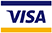 Visa Card Icon